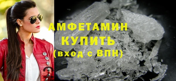 стаф Осинники