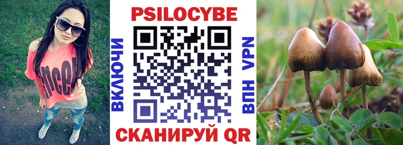 shop как зайти  магазин  наркотиков  Сатка  Галлюциногенные грибы Magic Shrooms 